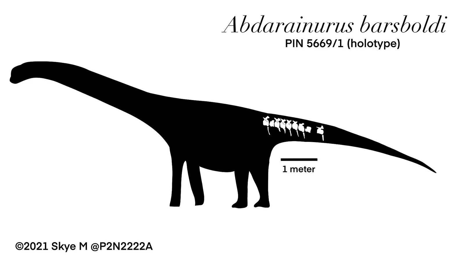 Abdarainurus barsboldi
