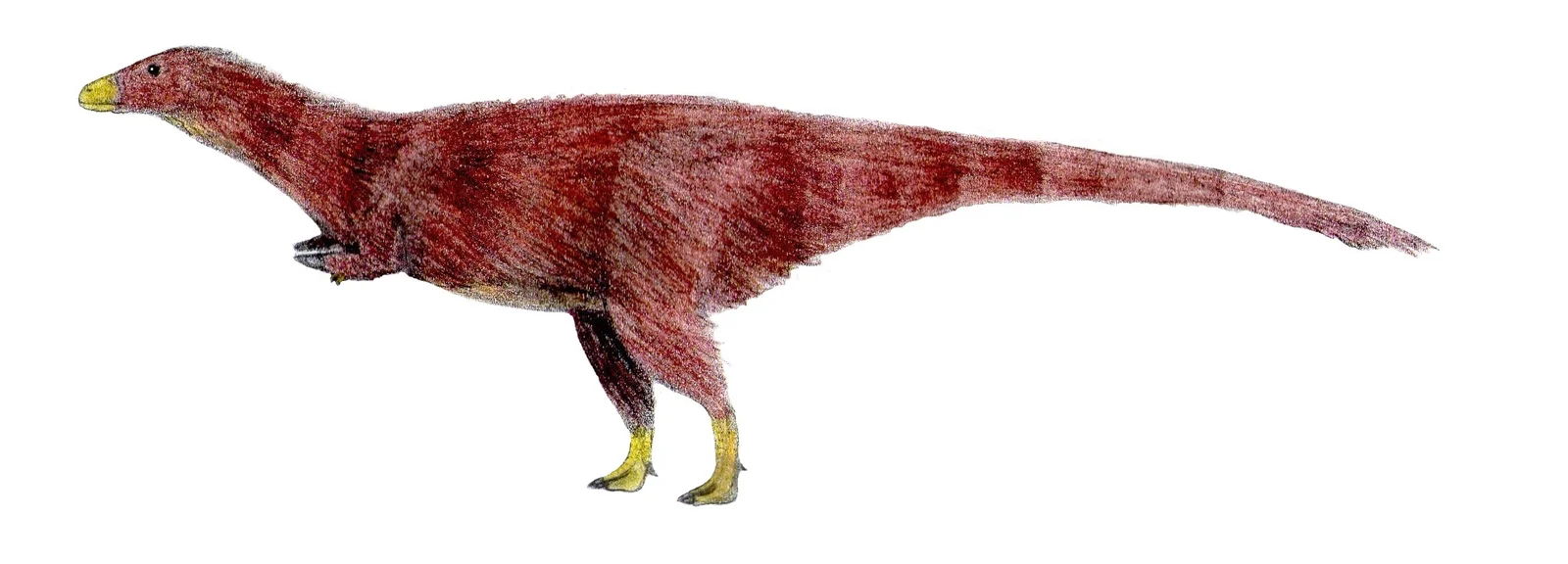 Achillesaurus manazzonei