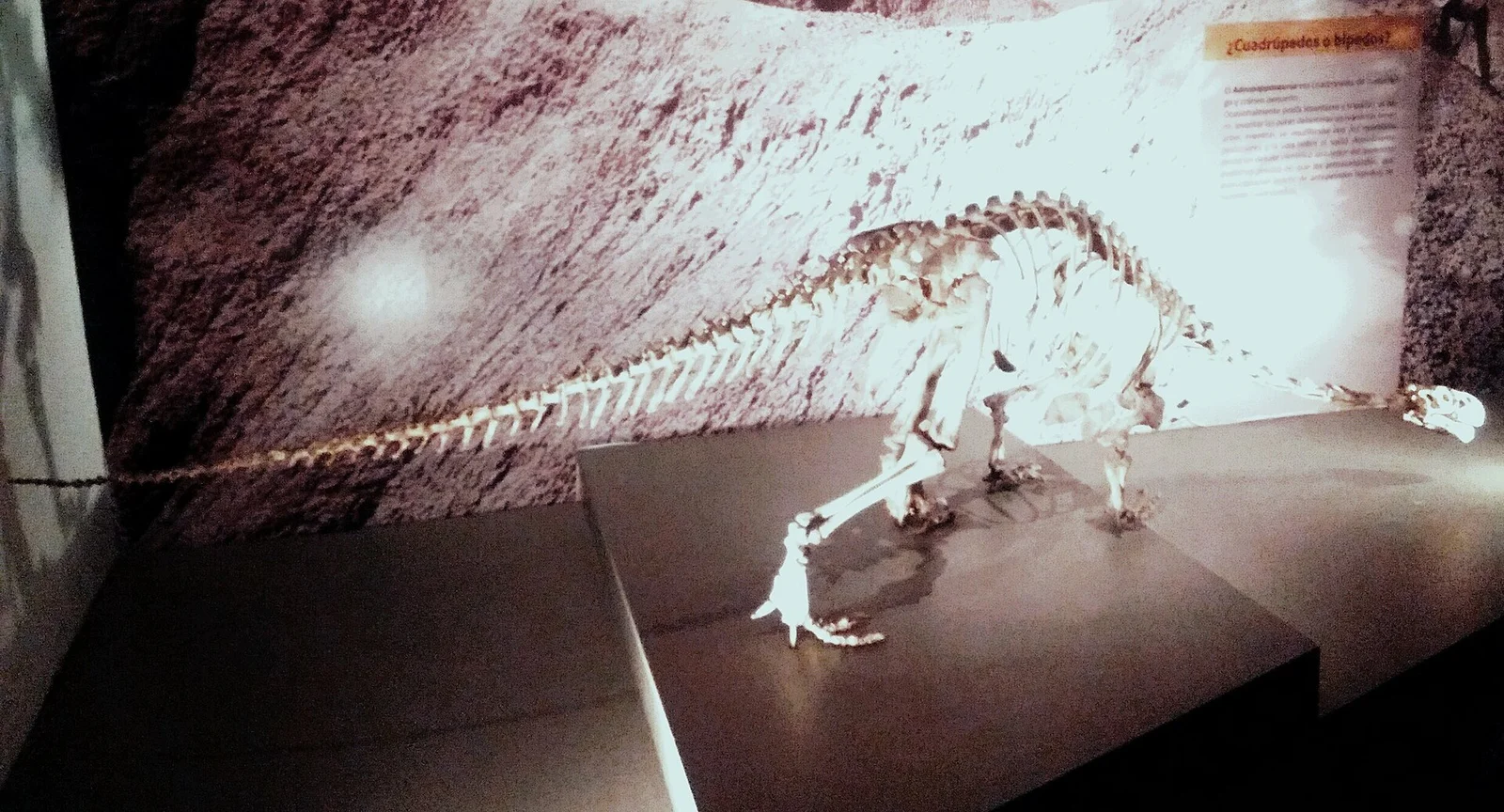Adeopapposaurus mognai
