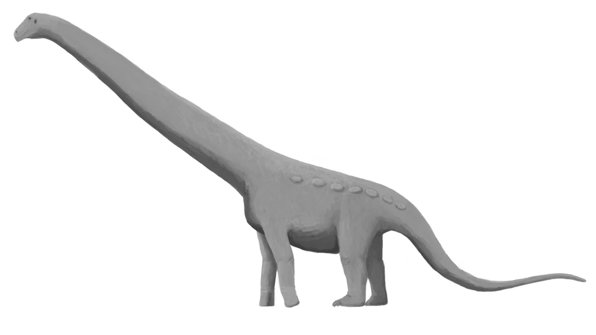 Aeolosaurus colhuehuapensis