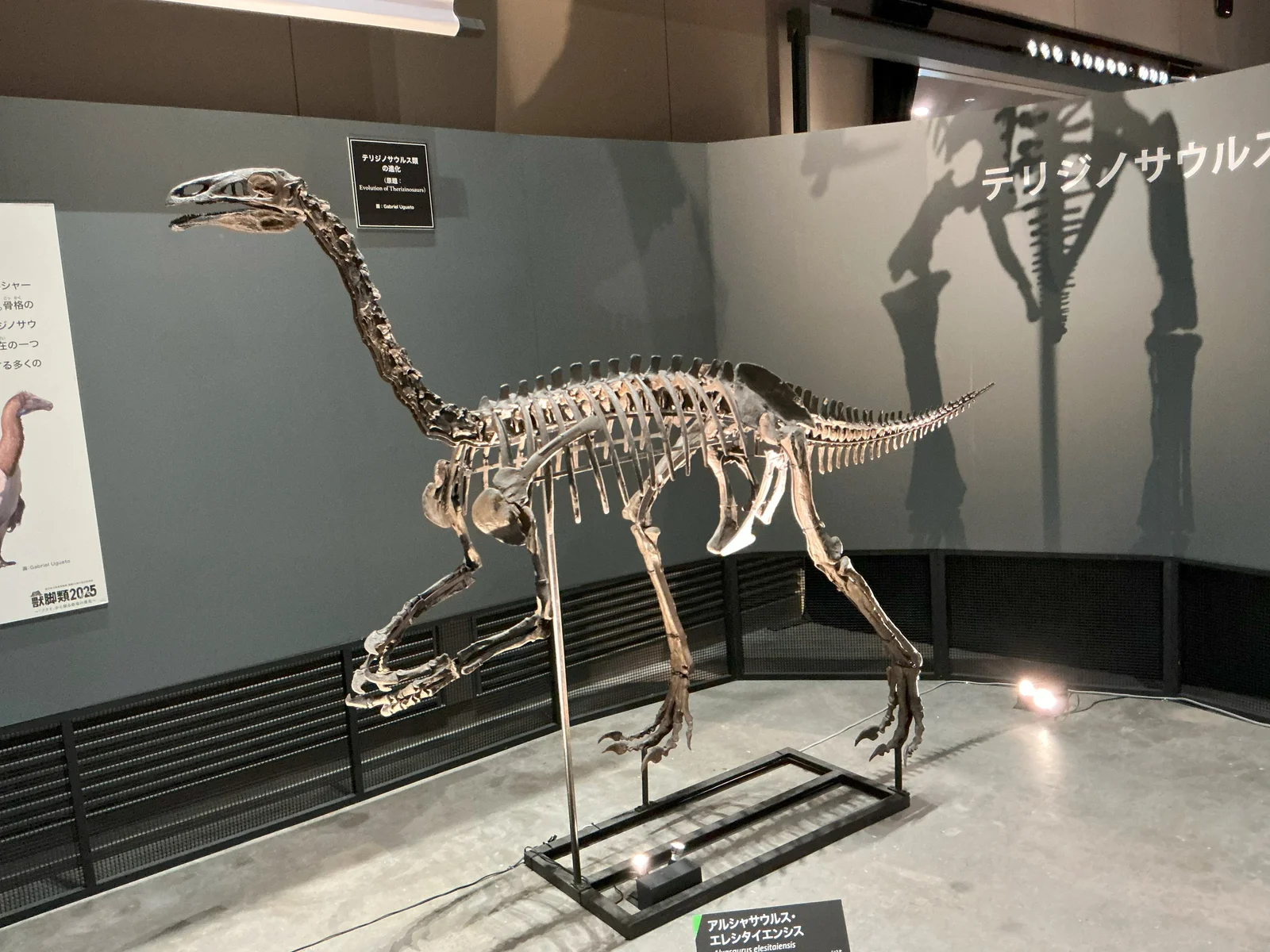 Alxasaurus elesitaiensis