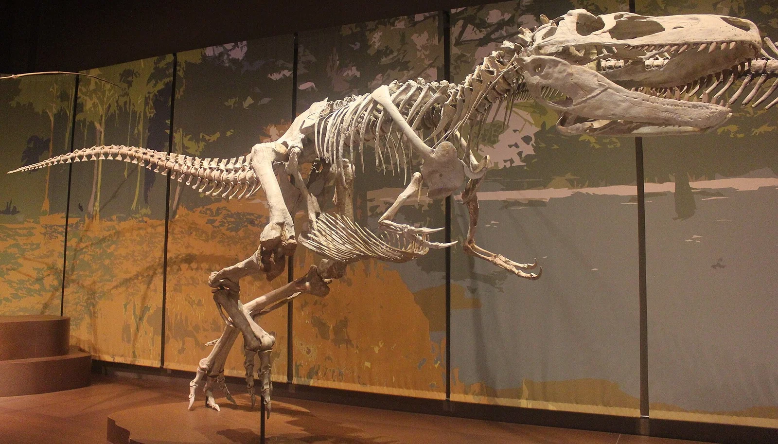 Appalachiosaurus montgomeriensis
