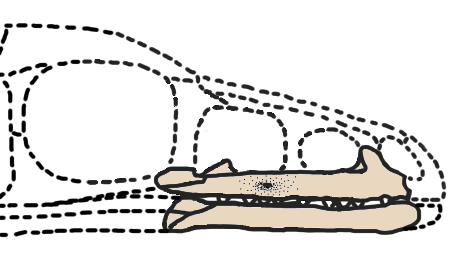 Archaeornithoides deinosauriscus