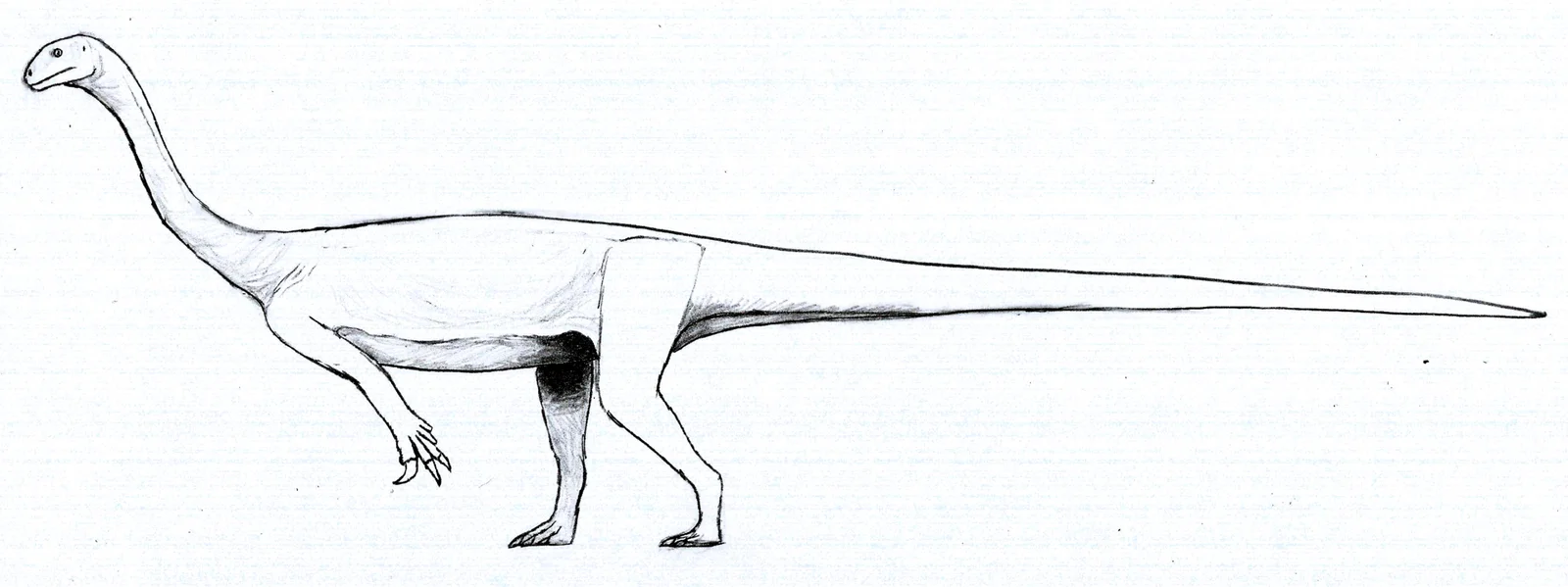 Arcusaurus pereirabdalorum