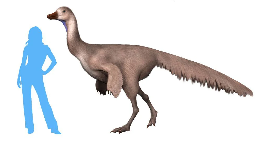 Arkansaurus fridayi