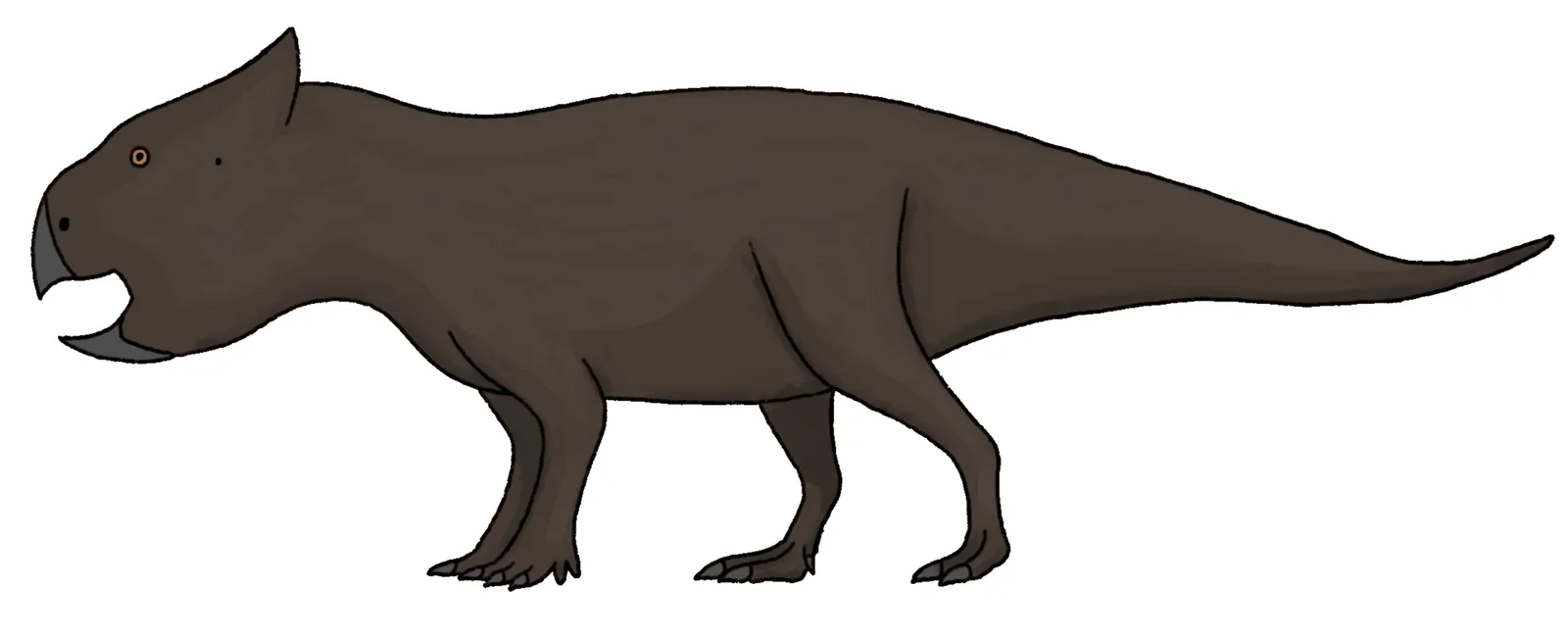 Asiaceratops salsopaludalis