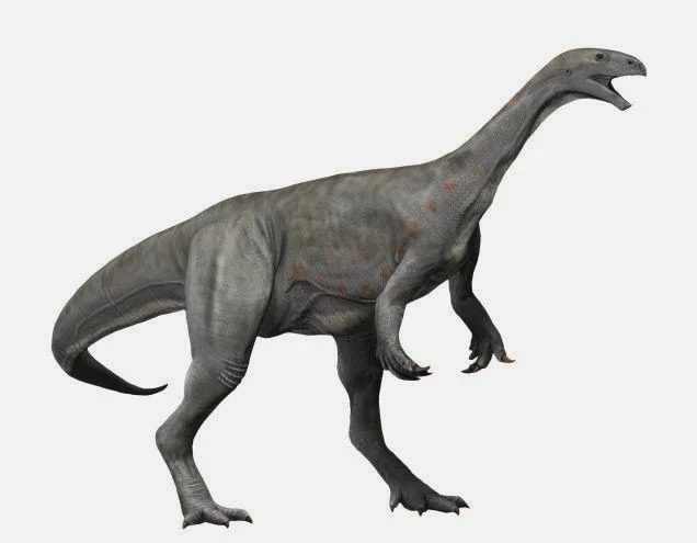 Asylosaurus yalensis