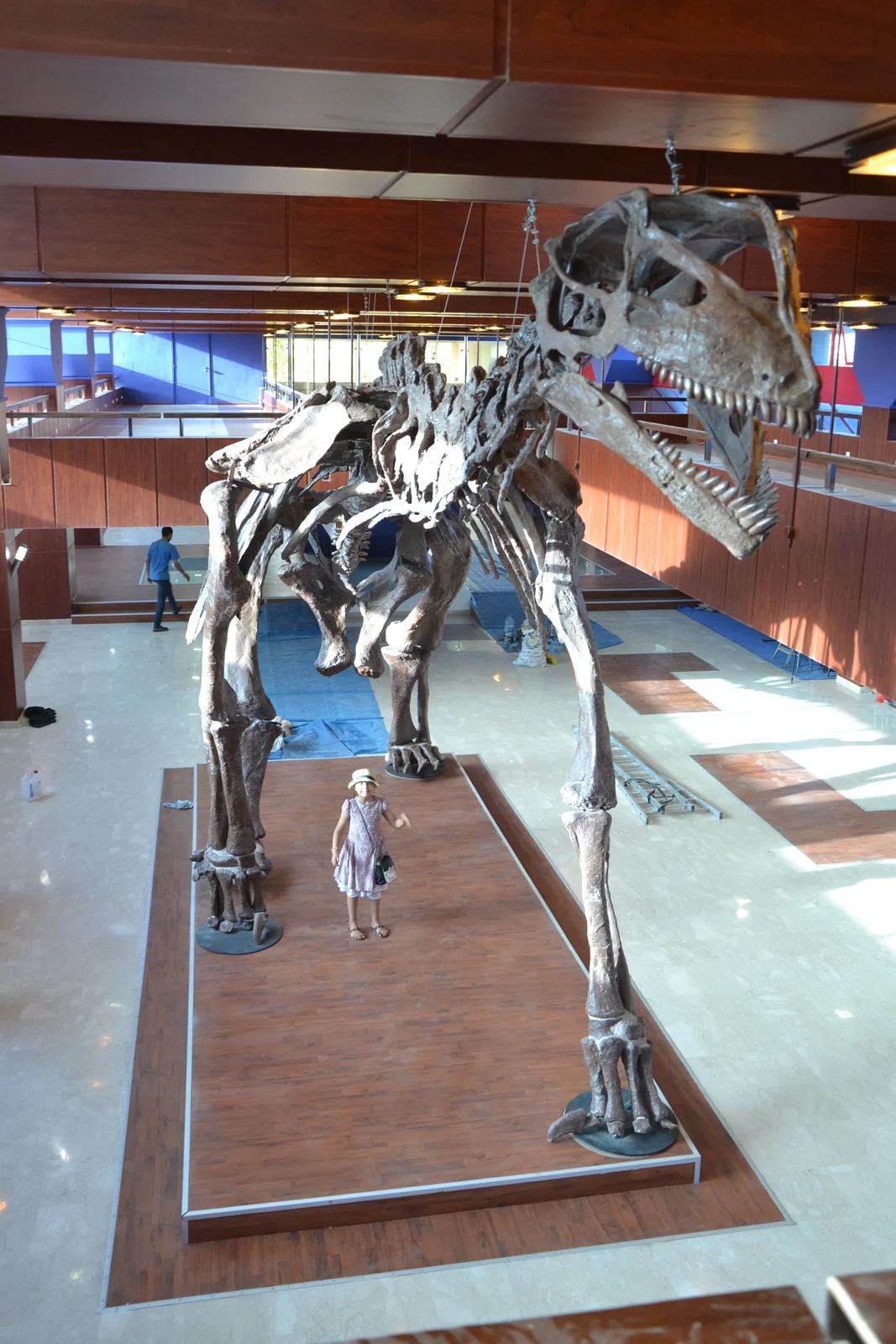 Atlasaurus imelakei