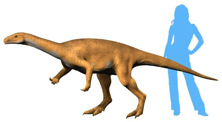 Bagualosaurus agudoensis