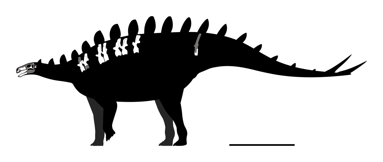 Baiyinosaurus baojiensis