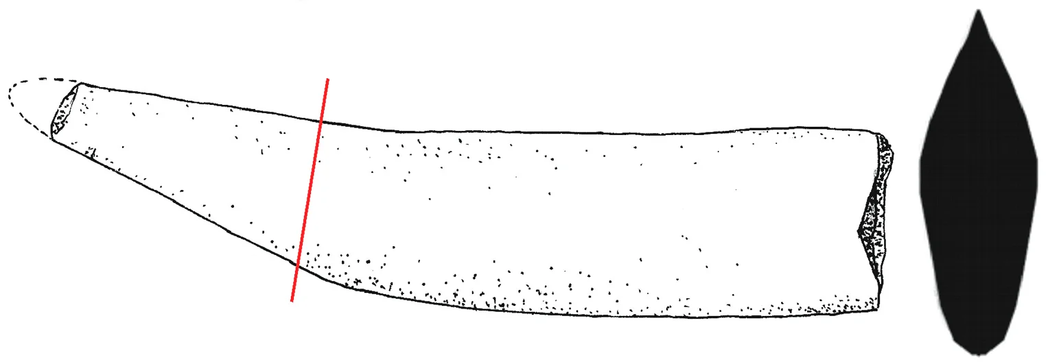 Banguela oberlii