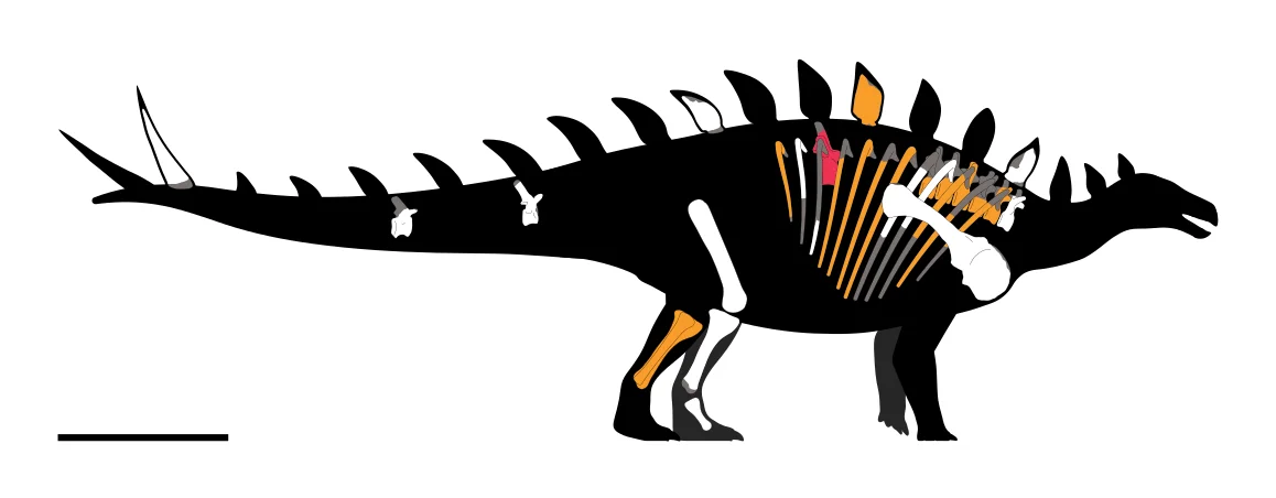 Bashanosaurus primitivus