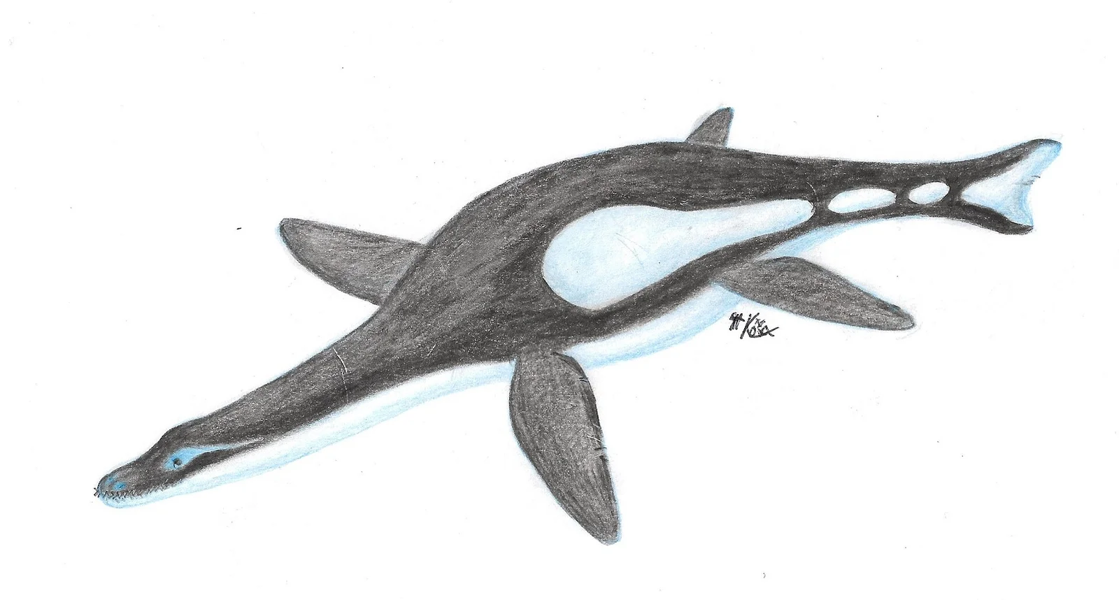 Bathyspondylus swindoniensis