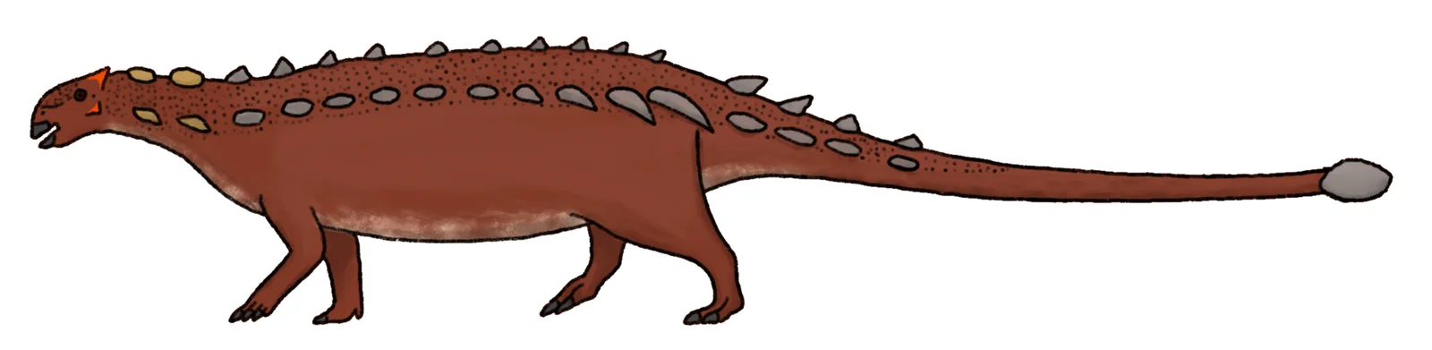 Bissektipelta archibaldi
