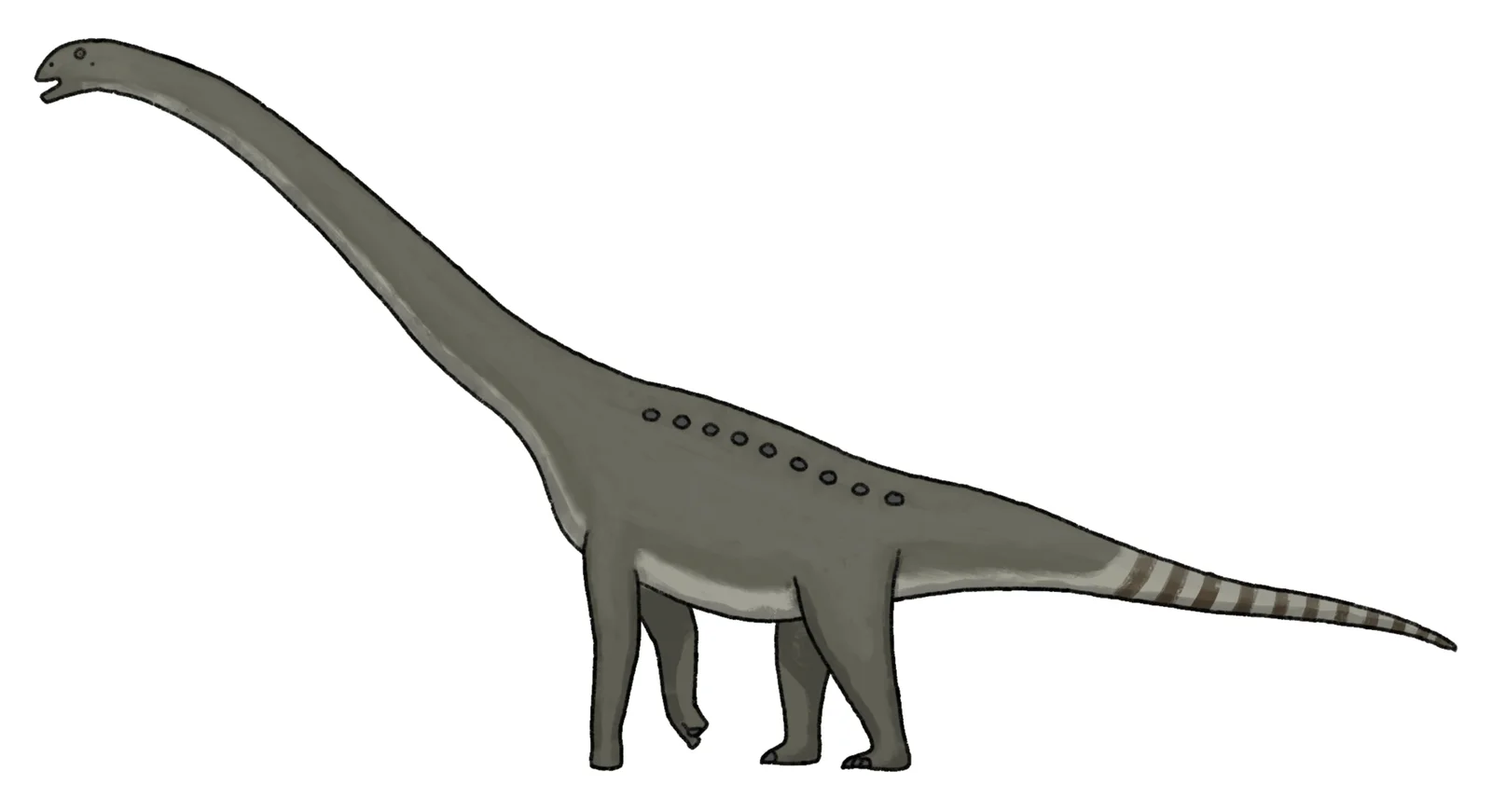 Borealosaurus wimani