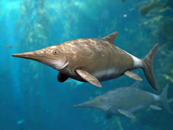 Brachypterygius extremus