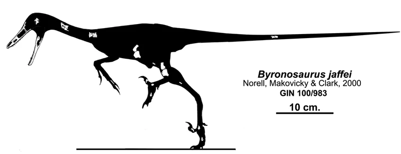 Byronosaurus jaffei