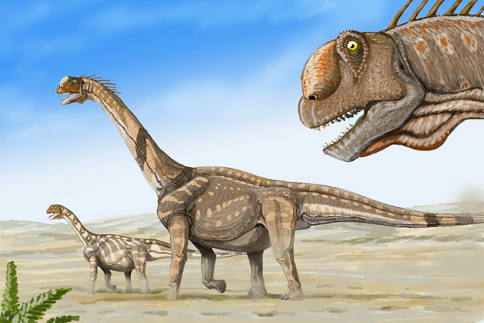 Camarasaurus supremus