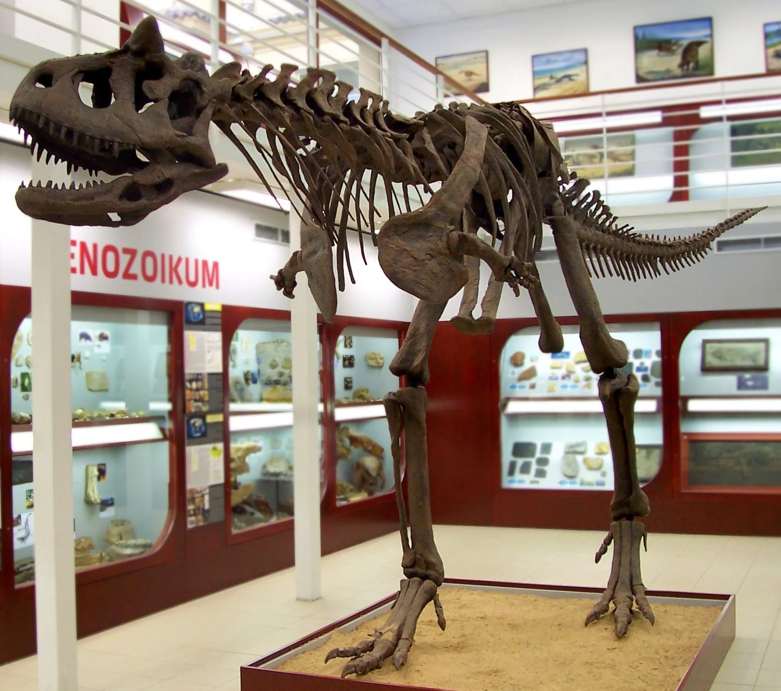 Carnotaurus sastrei