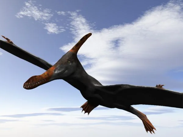 Caulkicephalus trimicrodon