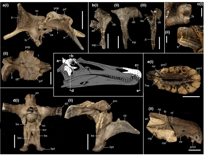 Ceratosuchops inferodios