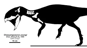 Chaoyangsaurus youngi