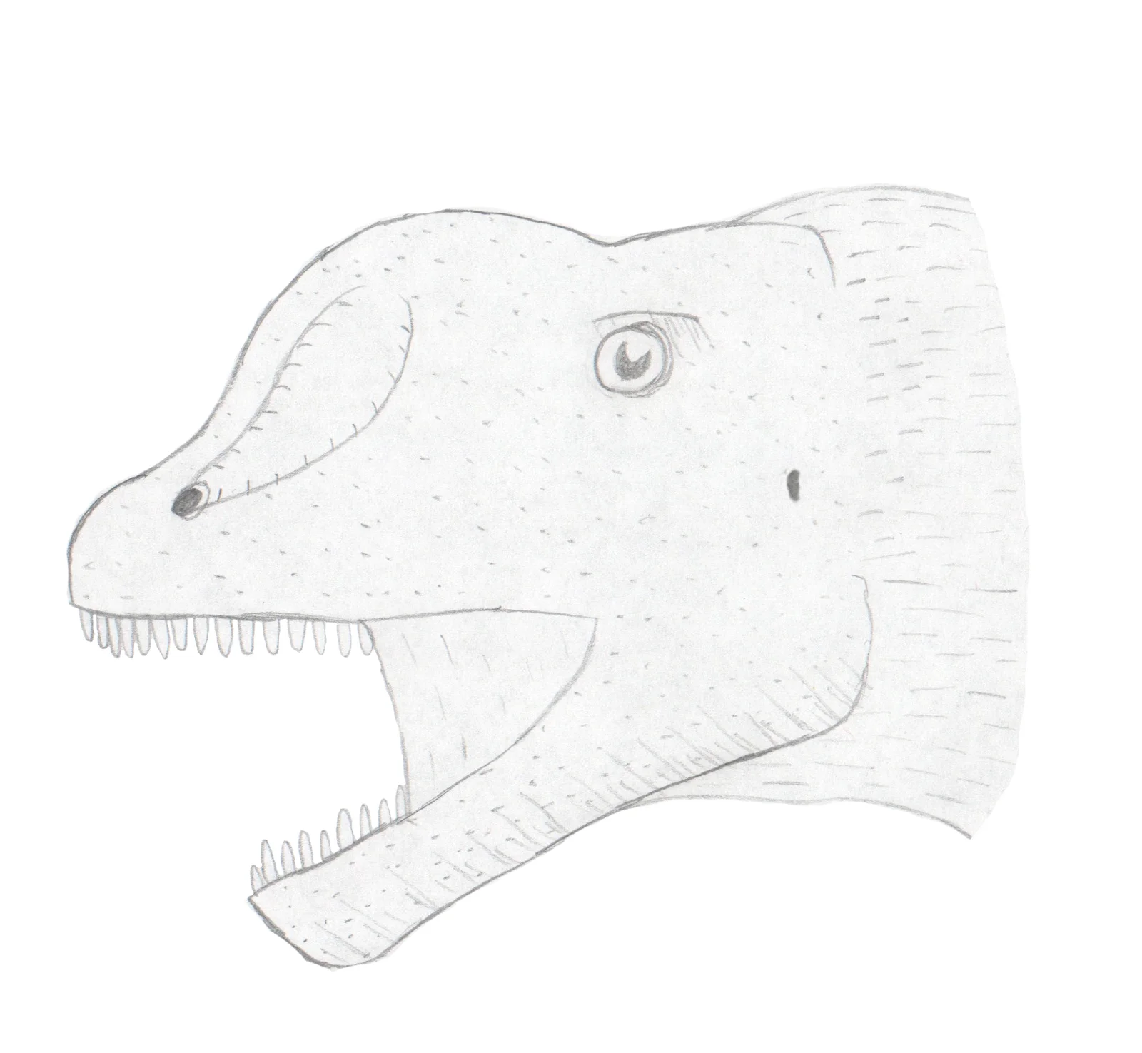 Chebsaurus algeriensis