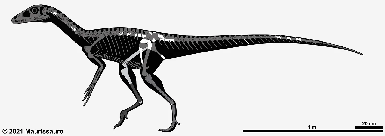Chindesaurus bryansmalli