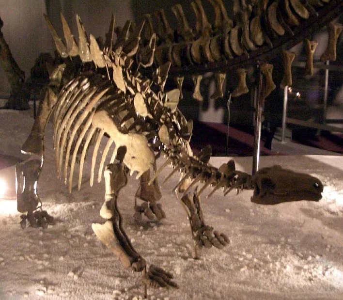 Chungkingosaurus jiangbeiensis