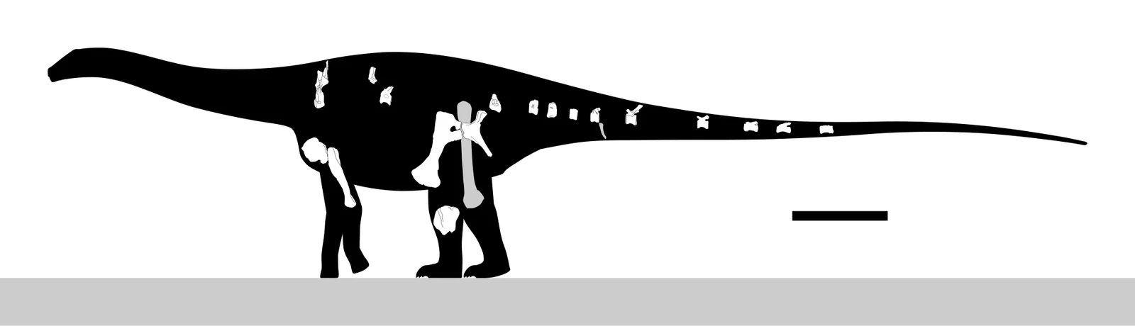 Comahuesaurus windhauseni