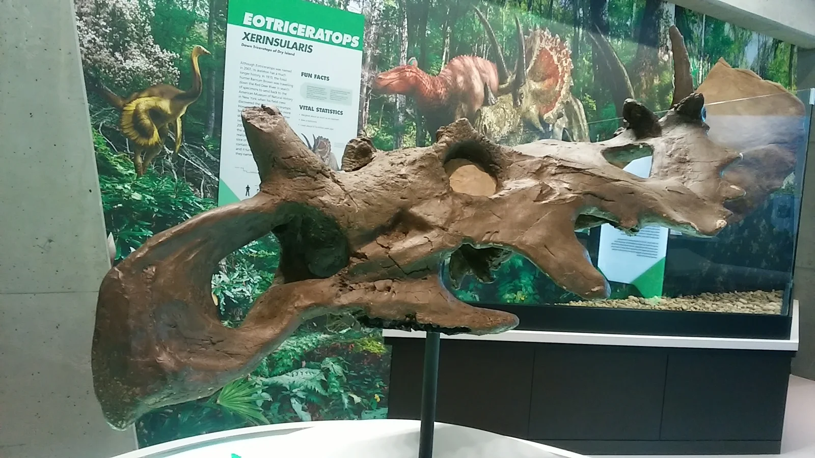 Coronosaurus brinkmani
