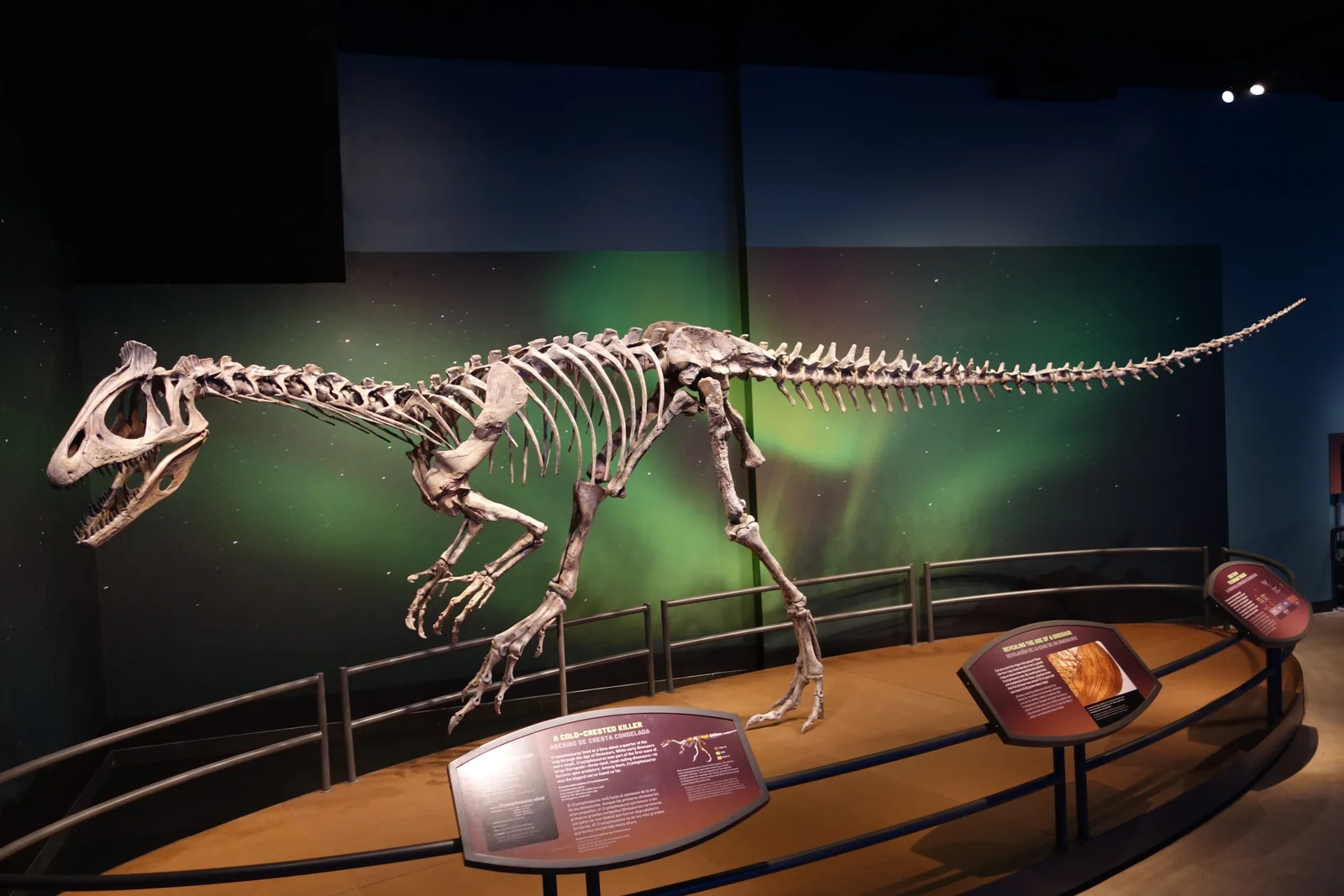 Cryolophosaurus ellioti