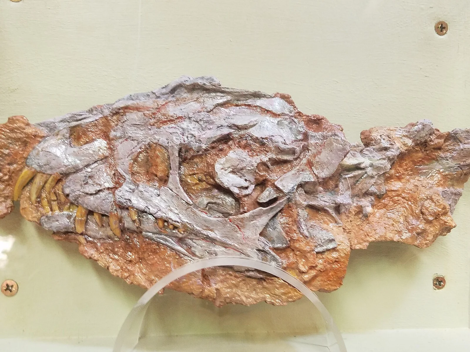 Daemonosaurus chauliodus