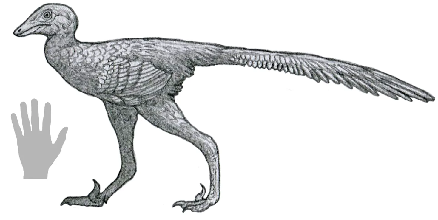 Daliansaurus liaoningensis