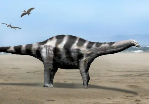 Demandasaurus darwini