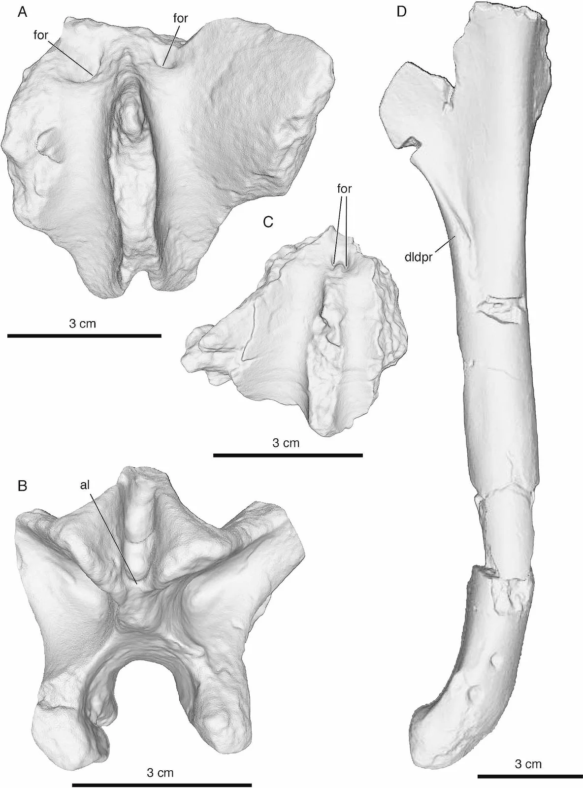 Diuqin lechiguanae