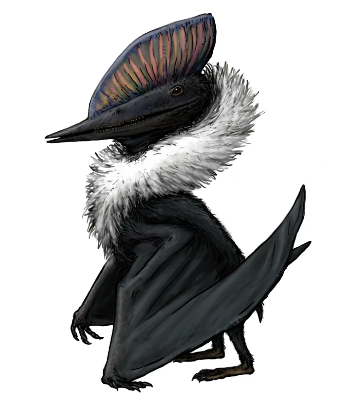 Domeykodactylus ceciliae