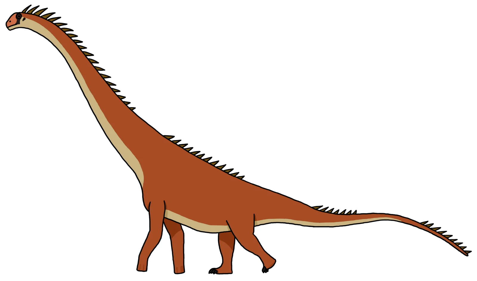 Drusilasaura deseadensis