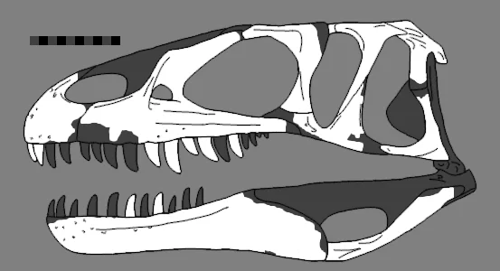 Dubreuillosaurus valesdunensis
