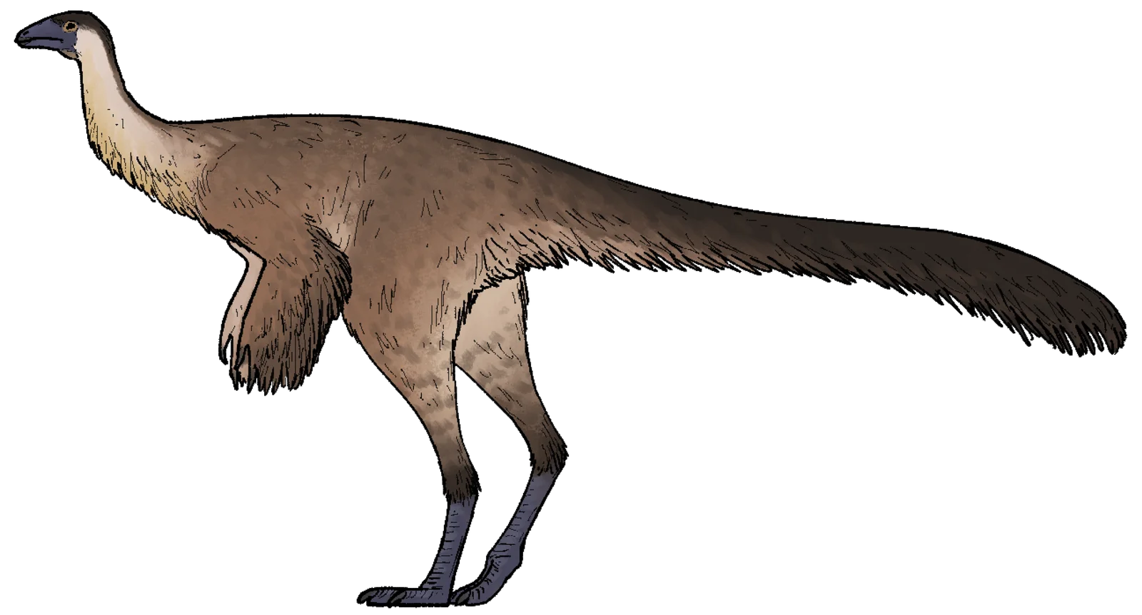Dzharacursor bissektensis