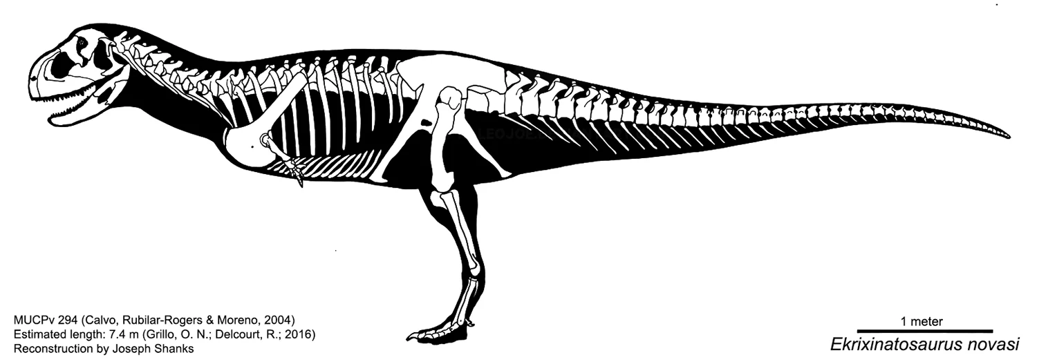 Ekrixinatosaurus novasi