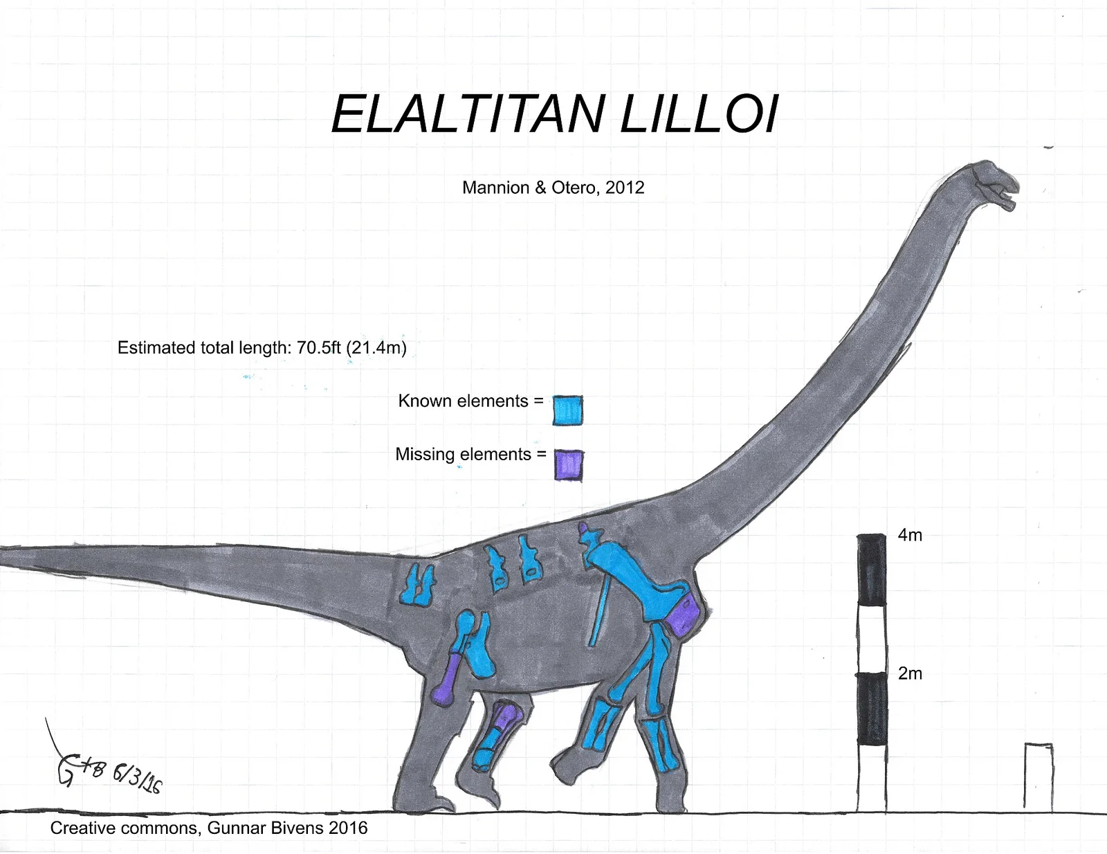 Elaltitan lilloi