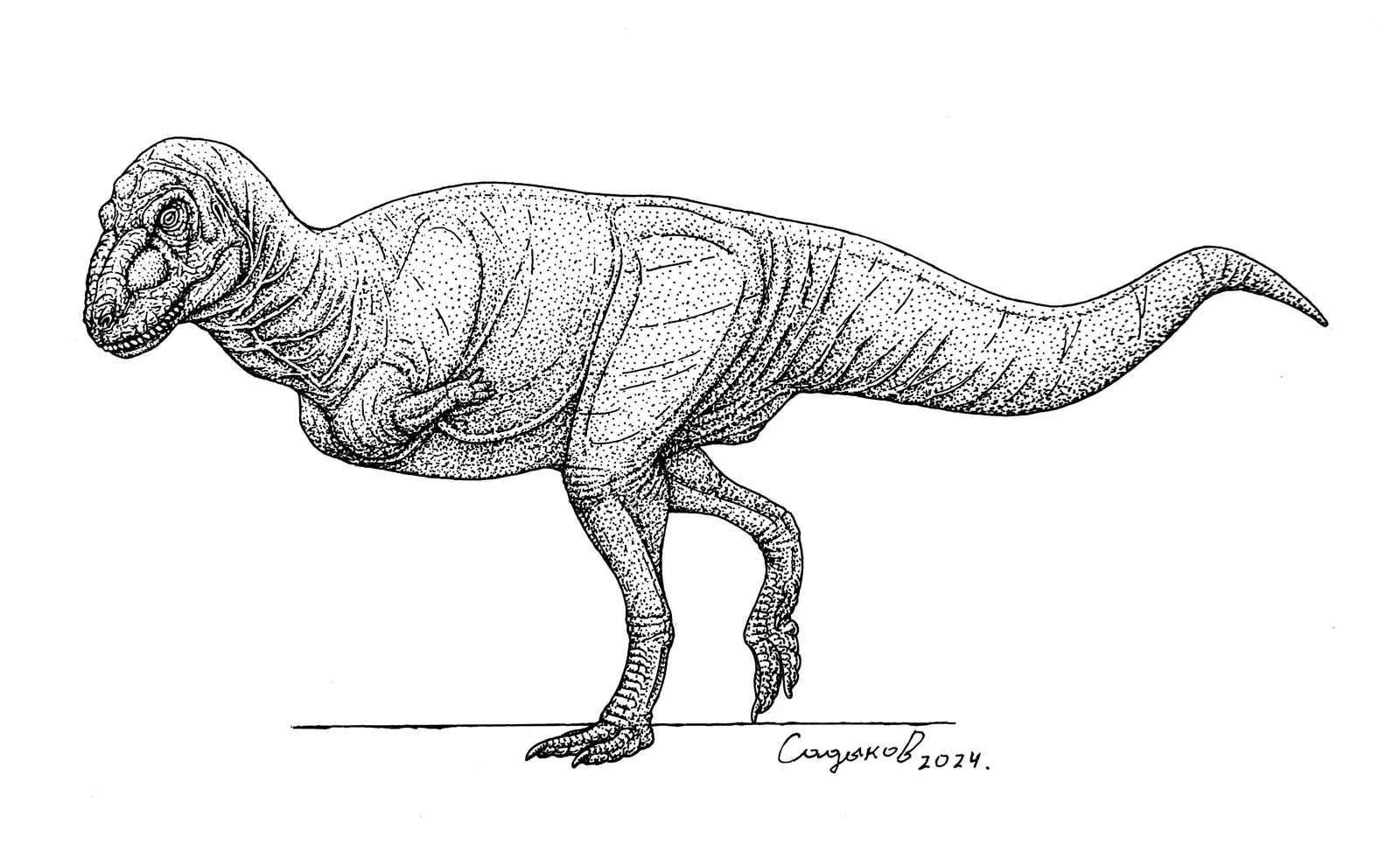 Elemgasem nubilus