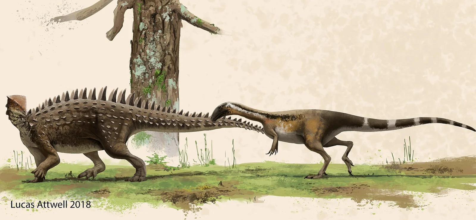 Emausaurus ernsti