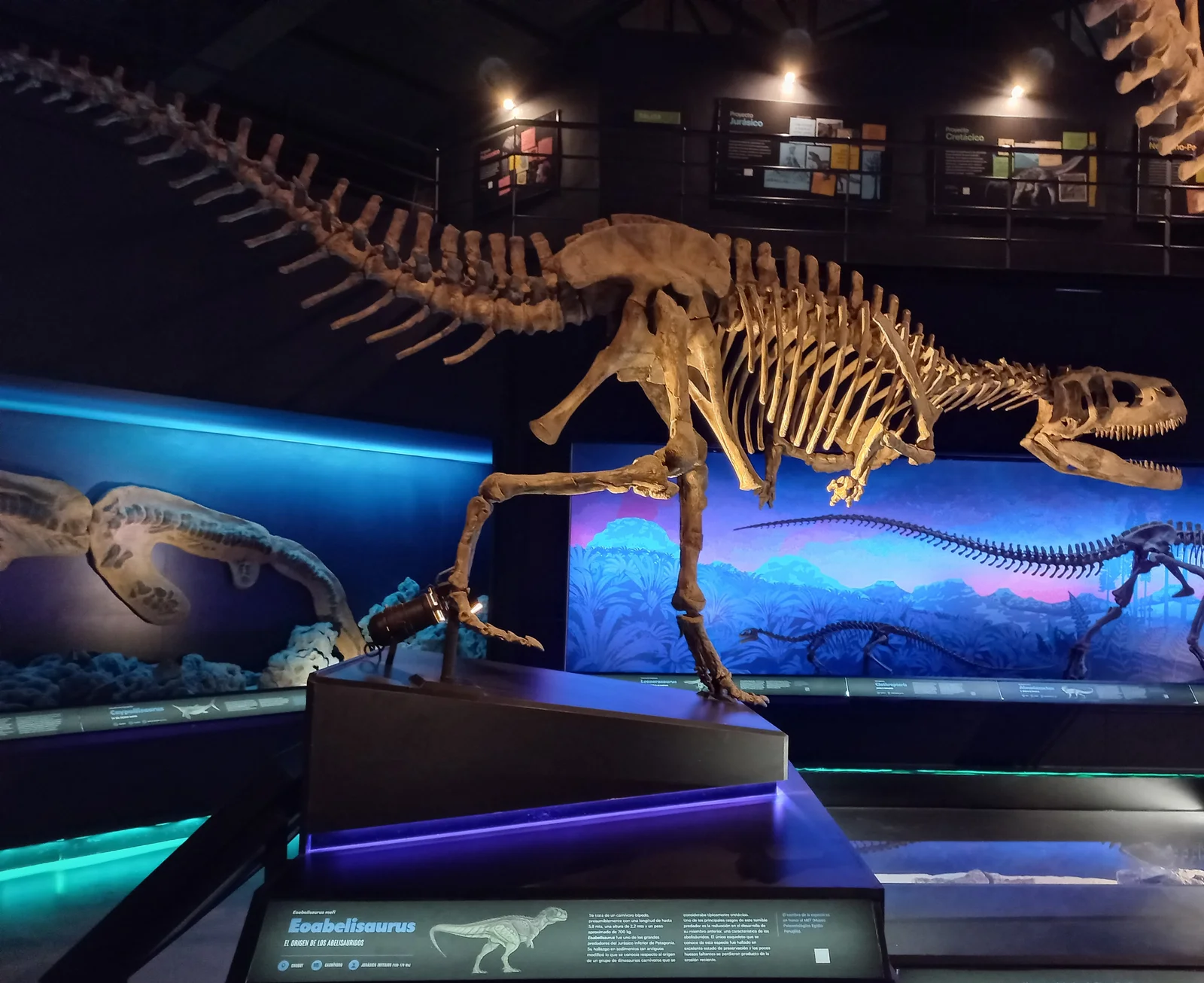 Eoabelisaurus mefi