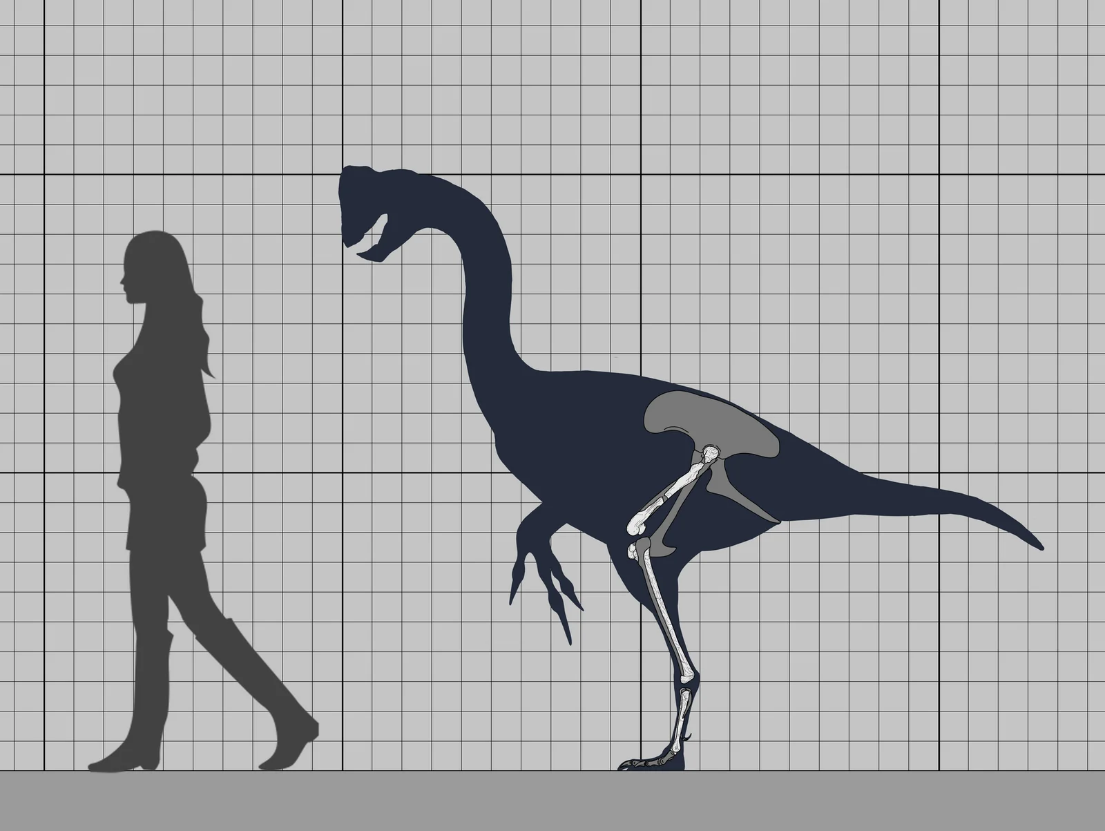 Eoneophron infernalis