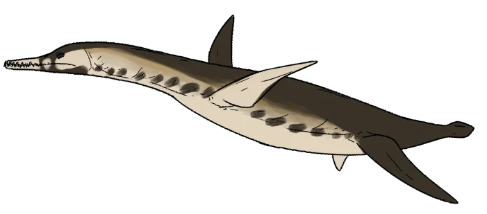 Eopolycotylus rankini
