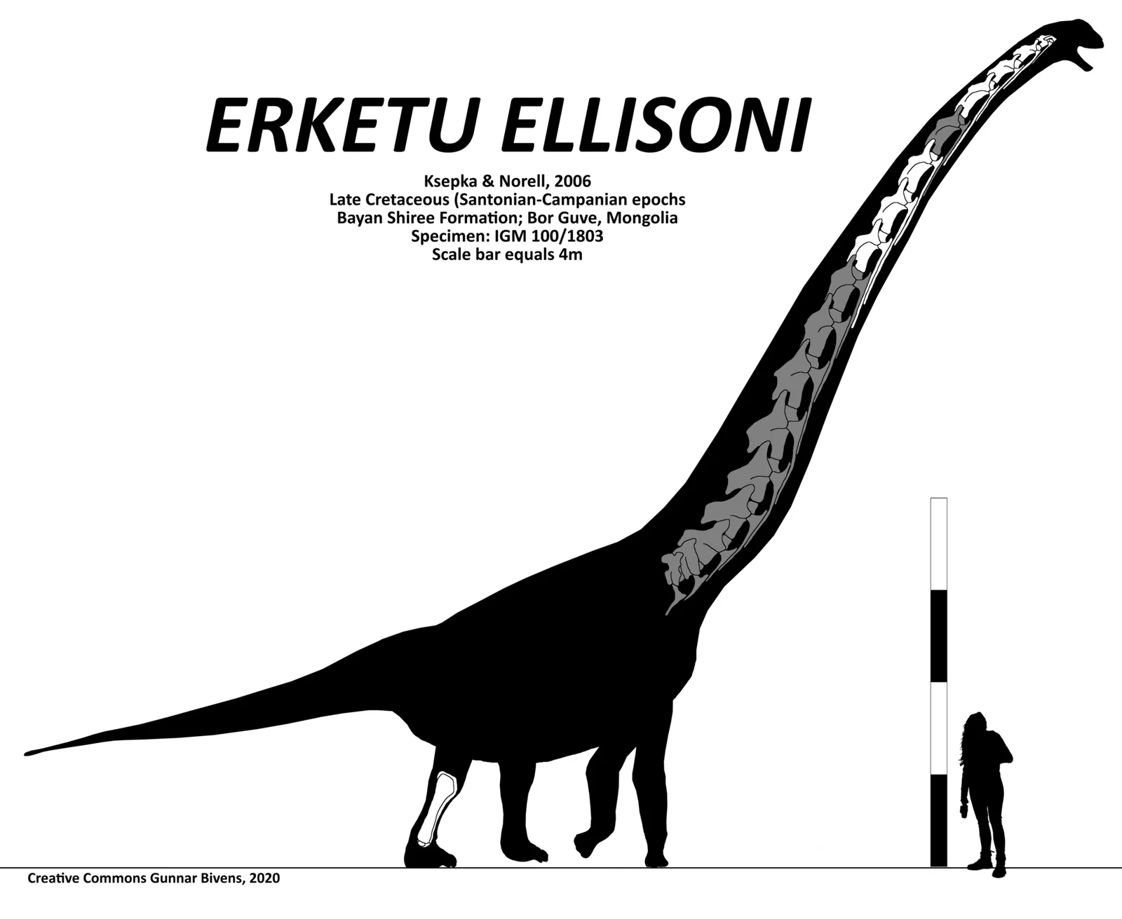 Erketu ellisoni