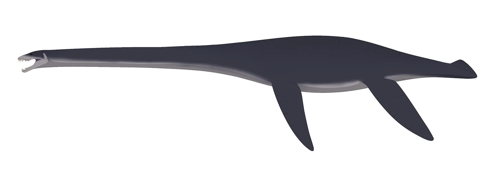 Fresnosaurus drescheri