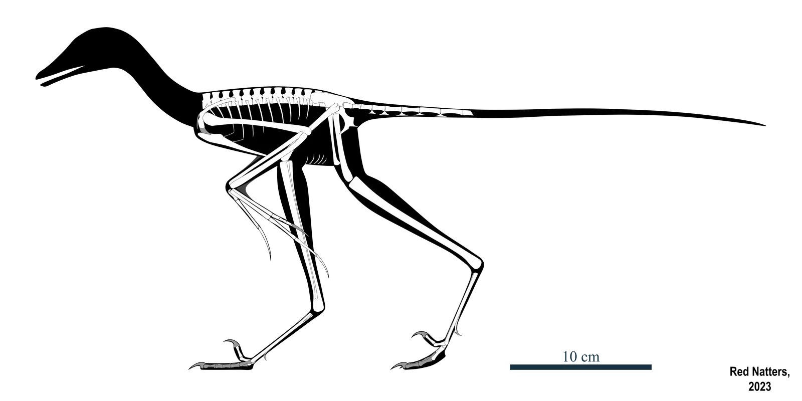 Fujianvenator prodigiosus
